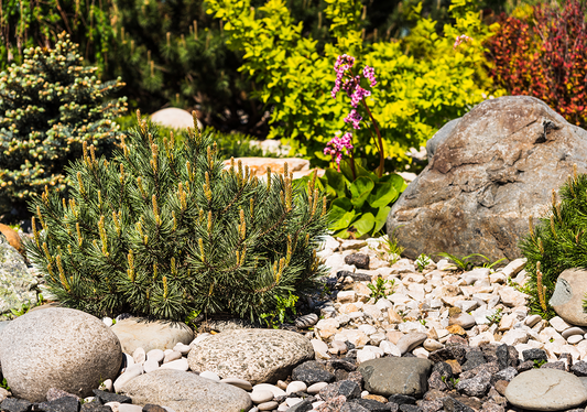 Applications of Gravel in Gardens