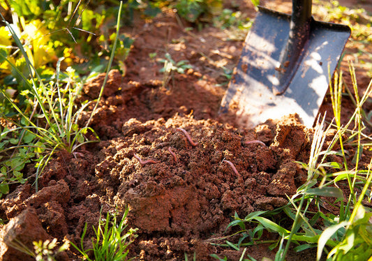 What Topsoil is Used For