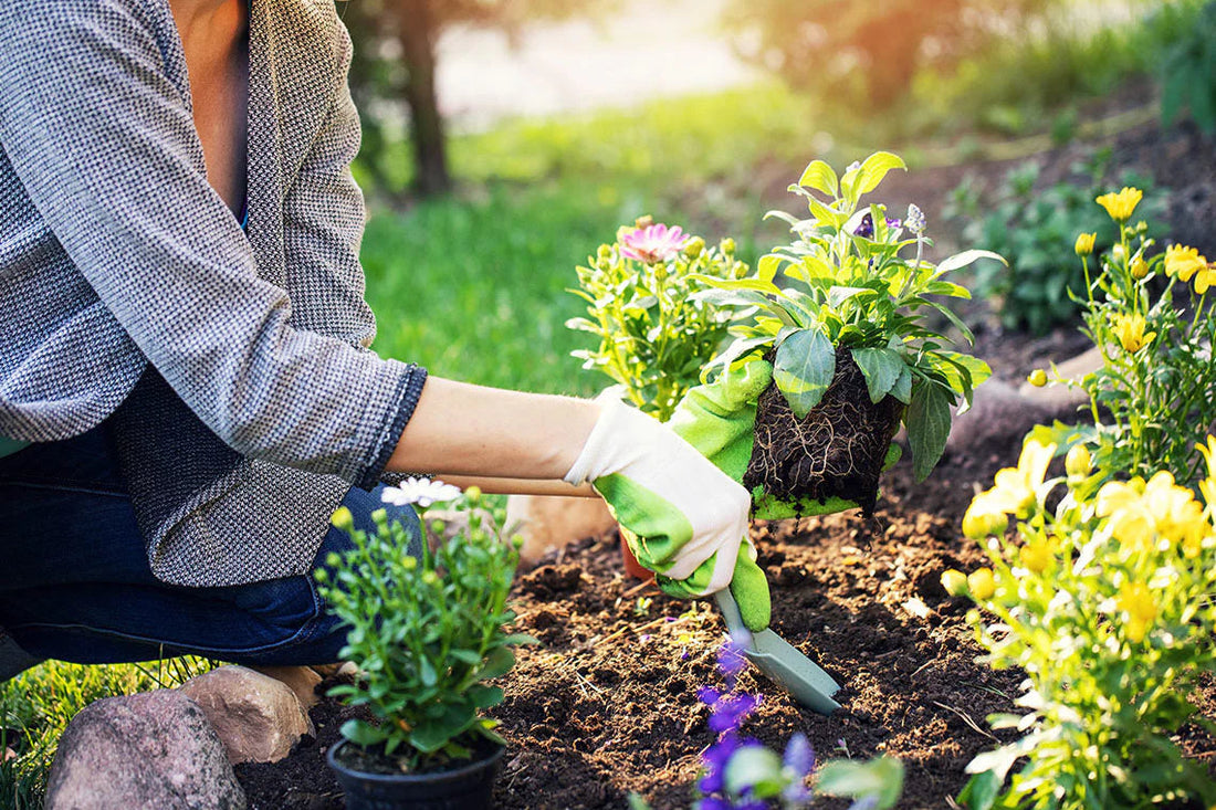 this is an image of a woman gardenings
