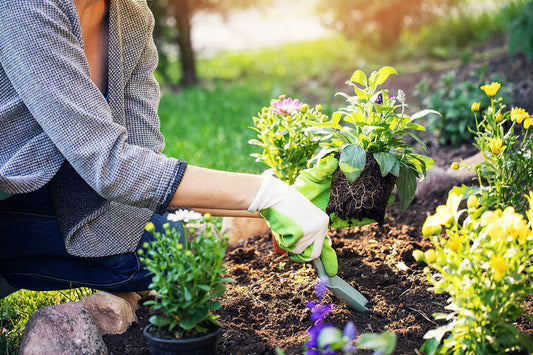 this is an image of a woman gardenings
