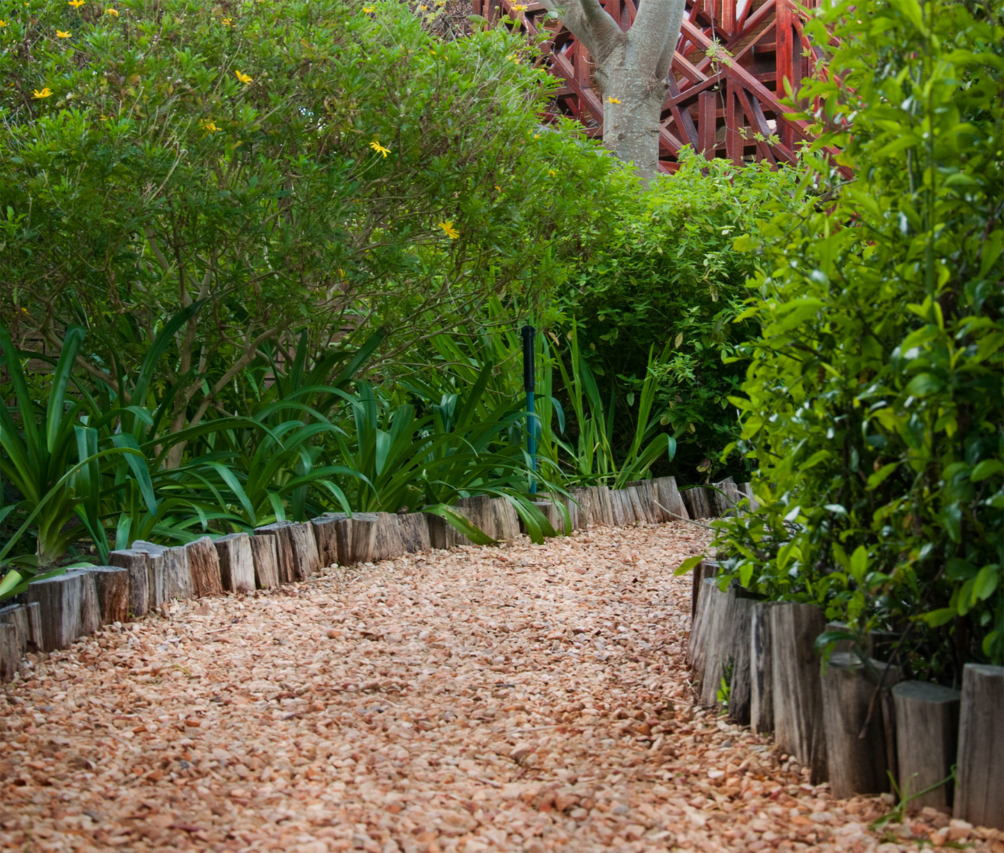 a wooden bench sitting in the middle of a garden