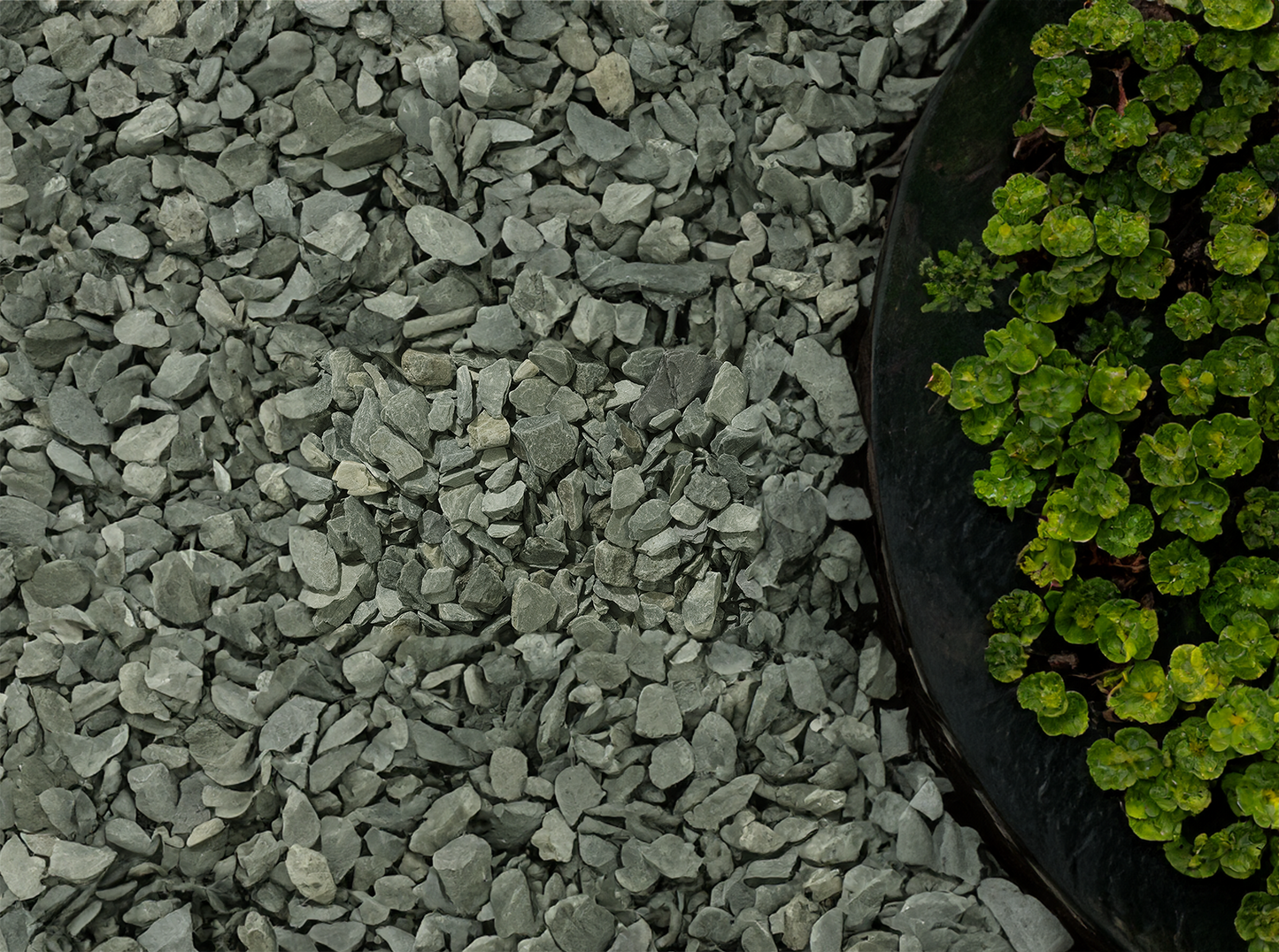A garden scene featuring a circular black planter filled with small, bright green plants on the right. The surrounding area is covered with durable metamorphic rocks and **20mm Green Slate Chippings by Brisks**, creating a contrasting texture with the vibrant greenery.