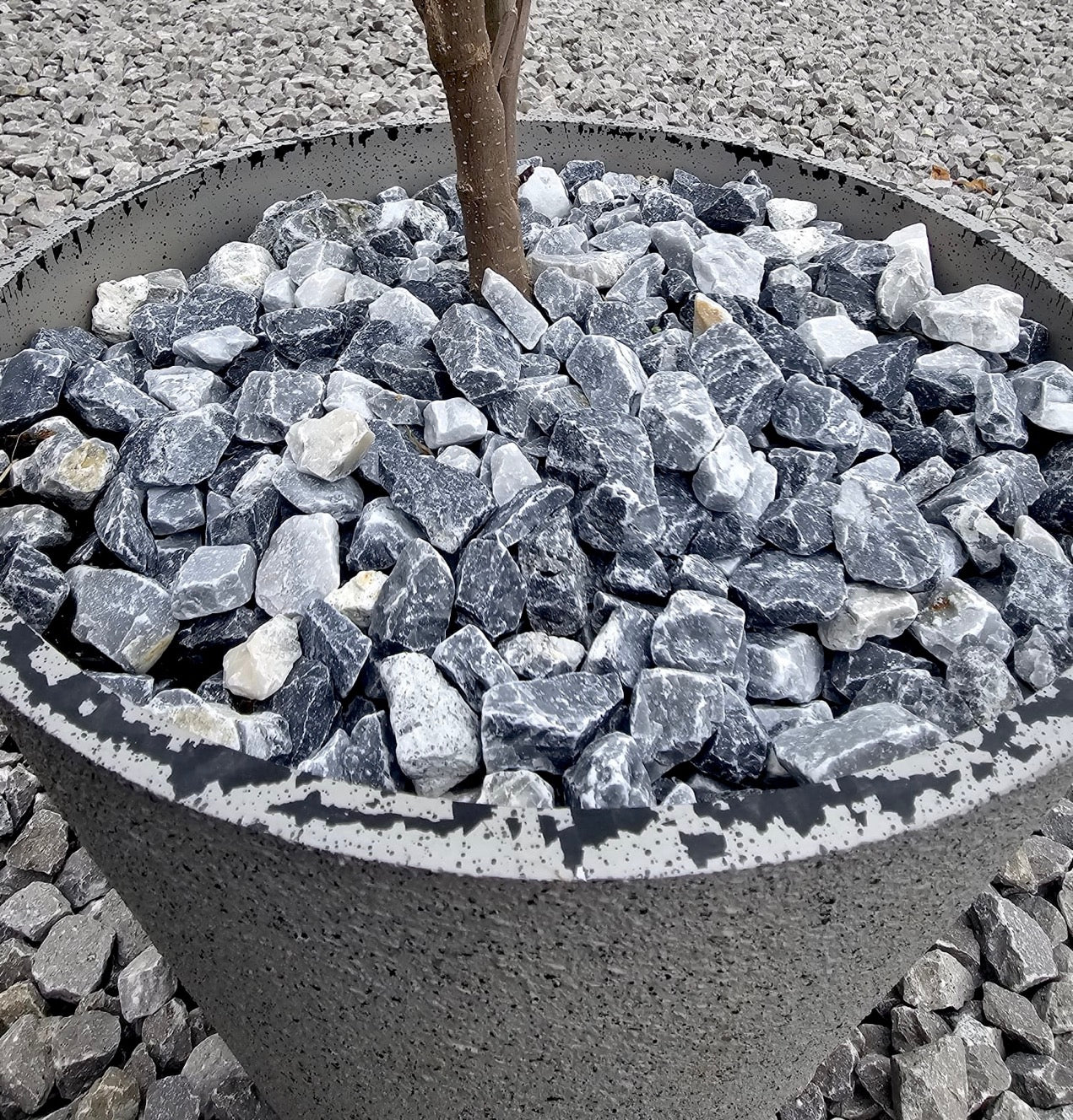 A concrete planter filled with Brisks 20mm Polar Black Ice Chippings and black and white stones surrounds a tree trunk, while grey gravel is scattered around the base of the planter.