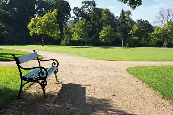 A park scene with a wooden bench on a Brisks Self Binding Path Gravel walkway, surrounded by green grass and trees. The park is empty, and the sky is clear and sunny, casting golden buff hues in shadows on the ground. The overall atmosphere is peaceful and tranquil.