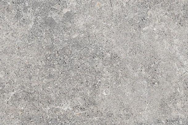 A close-up image of a slip-resistant, gray, speckled stone surface with a rough texture. The surface features tiny, irregularly shaped spots and subtle variations in silver hues, ranging from light to dark gray, giving it a natural, weathered appearance reminiscent of Brisks Carmen Grey Porcelain Paving Slabs.