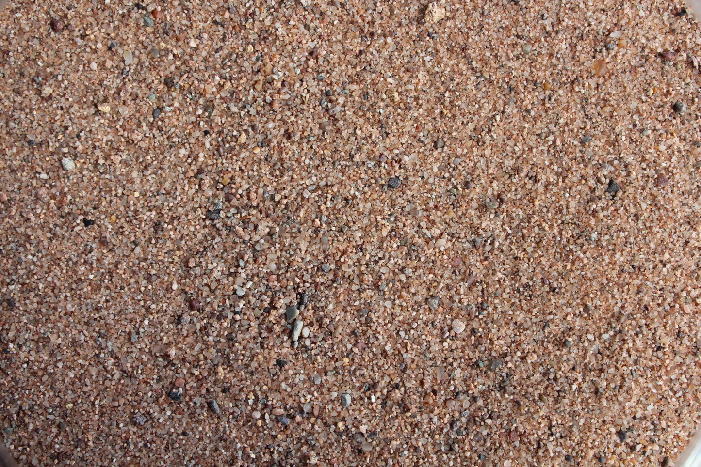 Close-up of fine, beige and brown sand grains. The Brisks Kiln Dried Paving Sand contains tiny pebbles and specks of darker stones scattered throughout, giving it a varied texture. The image captures the intricate details and natural colors of this polished appearance sand.