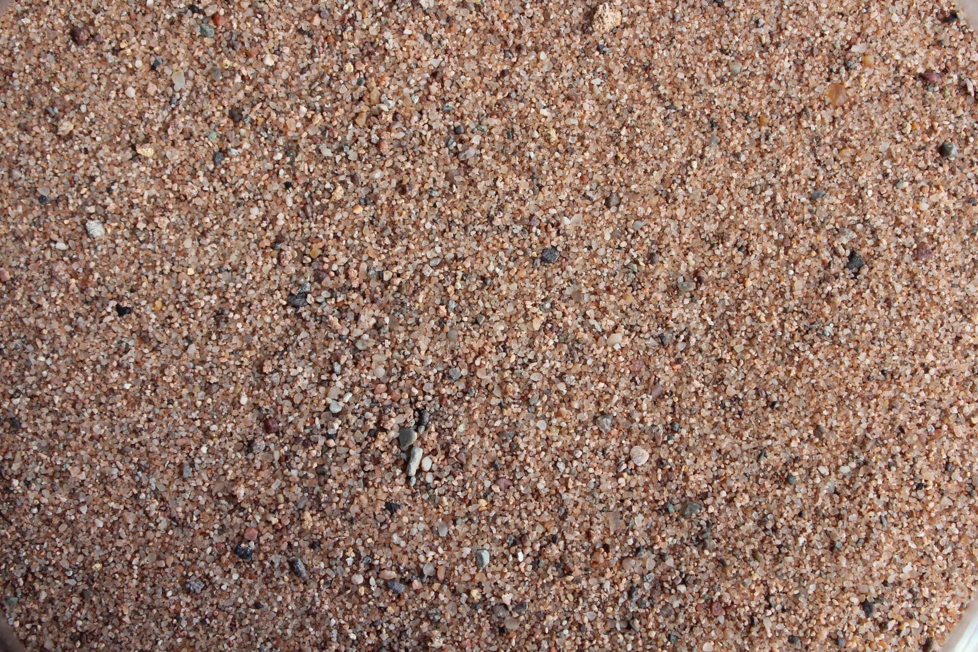 Close-up of fine, beige and brown sand grains. The Brisks Kiln Dried Paving Sand contains tiny pebbles and specks of darker stones scattered throughout, giving it a varied texture. The image captures the intricate details and natural colors of this polished appearance sand.