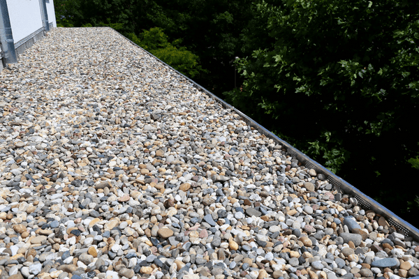 a view of a graveled walkway with trees in the background