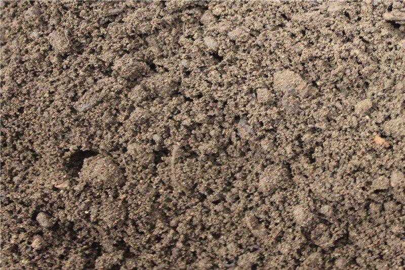 Close-up image of Brisks' High Grade Multi-Purpose Garden Topsoil. The fertile, dark brown soil appears moist and rich in texture, featuring small clumps and fine granules. Perfect for gardening and promoting optimal plant growth.