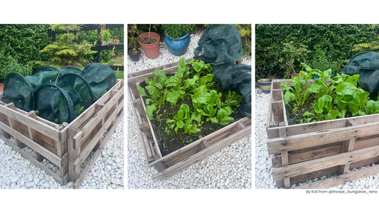 How to Build a Raised Garden Bed from Up-cycled Wooden Pallets