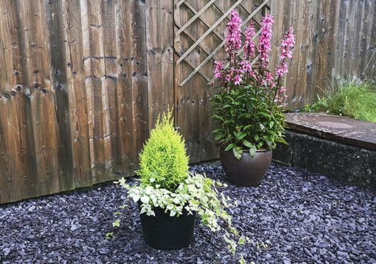 How Can Slate Chippings Complement Any Garden Landscaping Project?