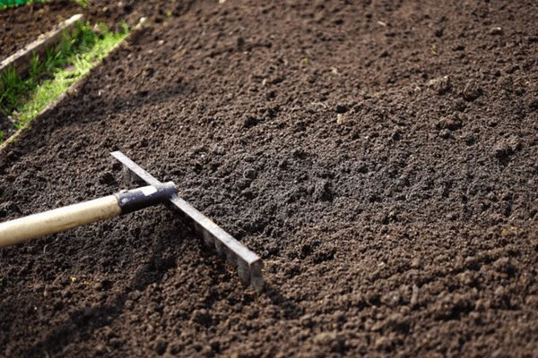 All You Need To Know About Garden Topsoil