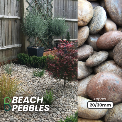 To the left lies a garden adorned with decorative plants and Brisks 20-30mm Beach Pebbles covering the ground. On the right, a close-up of smooth, round pebbles showcases their perfect size for garden edges or paths inspired by Moray Firth. Text reads "Beach Pebbles" and "Approx. 20/30 mm.