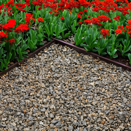 a bunch of flowers that are in some kind of planter