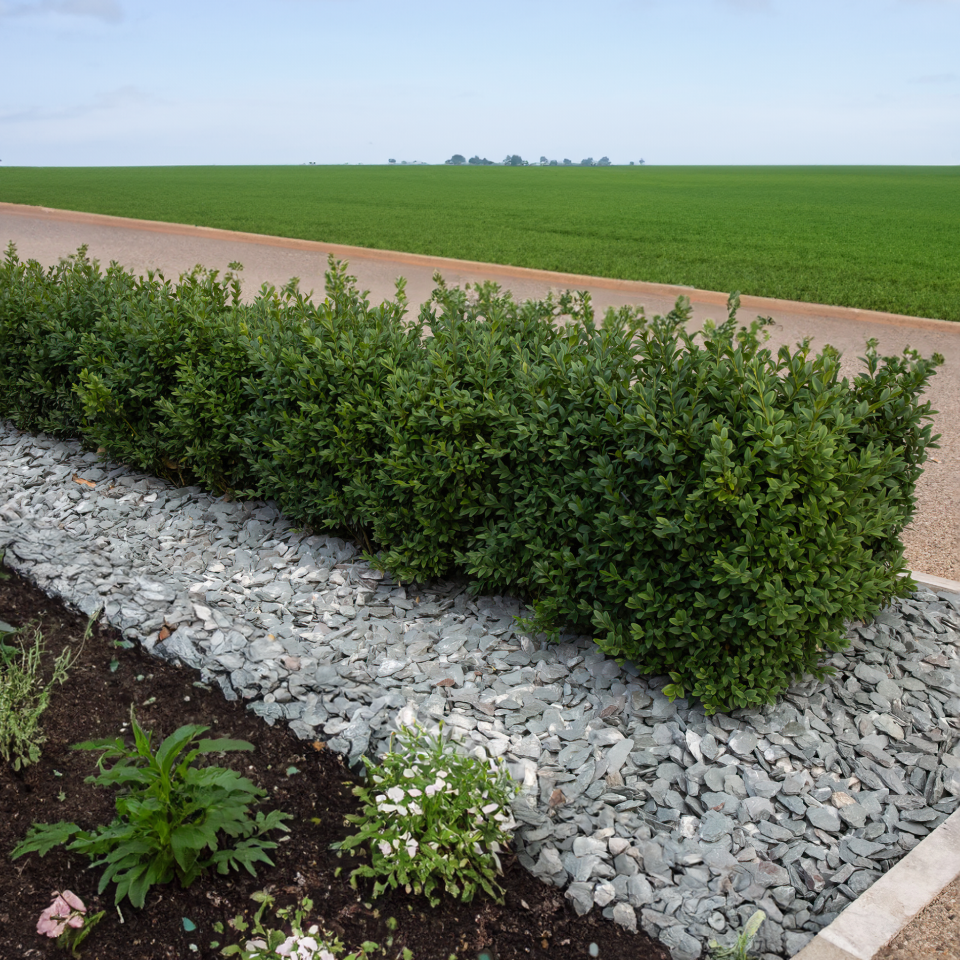40mm Slate Chippings Garden Slate Bulk Bags