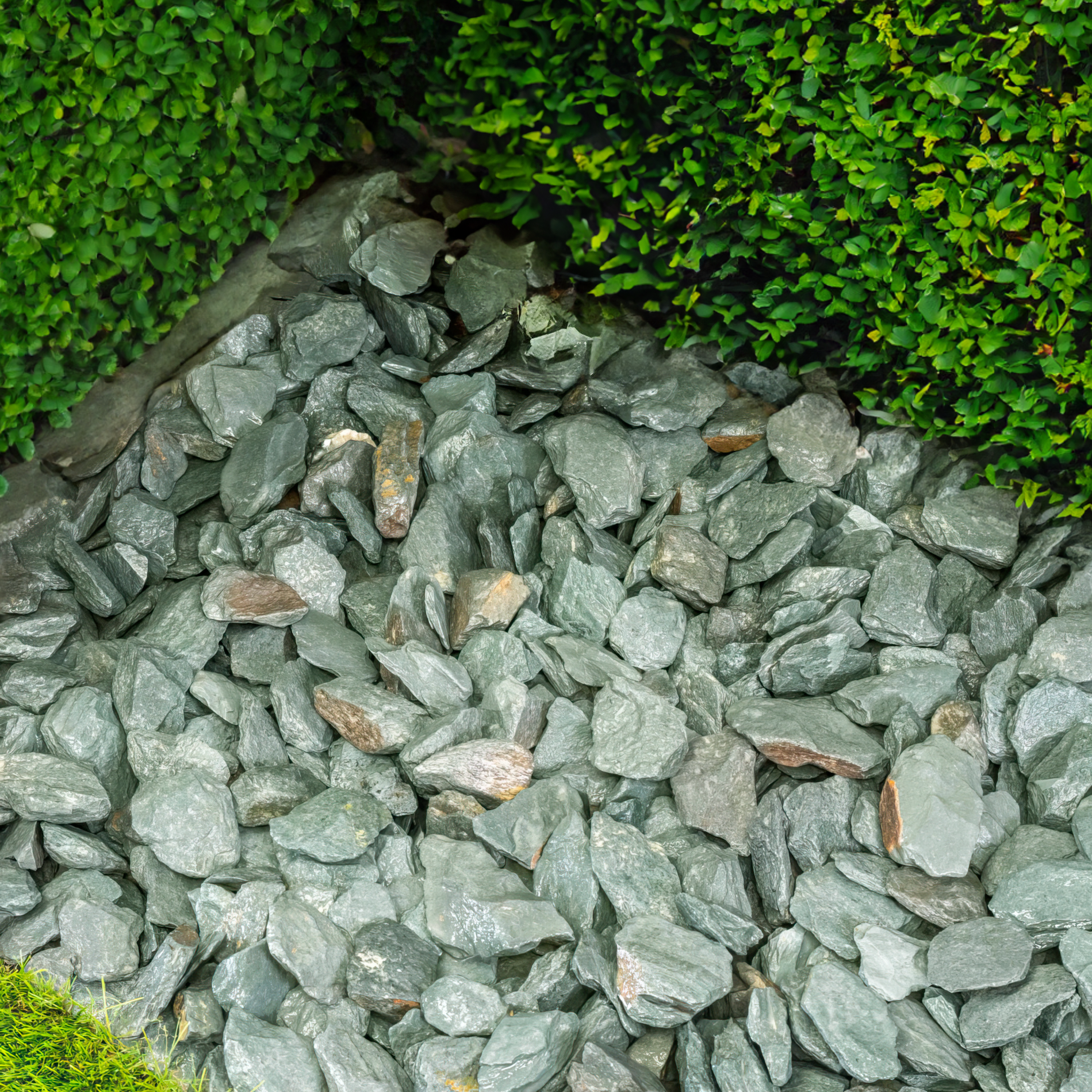 Brisks 40mm Green Slate Chippings create a natural garden border with lush green bushes, enhancing the landscape’s appeal with their contrasting gray tone.