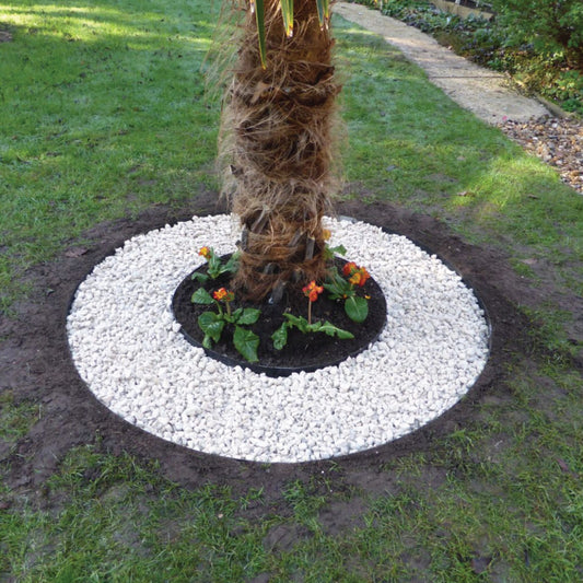 A palm tree stands in a grassy area, bordered by CORE Tree Rings from Core LP filled with white pebbles. Inside, a smaller soil circle supports vibrant orange and yellow flowers. A charming pathway meanders in the background, enhancing the landscape's appeal.