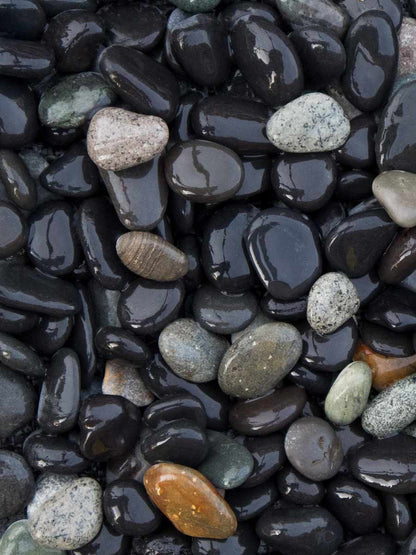 The 20-40mm Dusk Pebbles by Brisks are smooth, wet landscaping pebbles available in black, gray, green, and brown shades. Packed closely together, these decorative stones gleam with moisture.