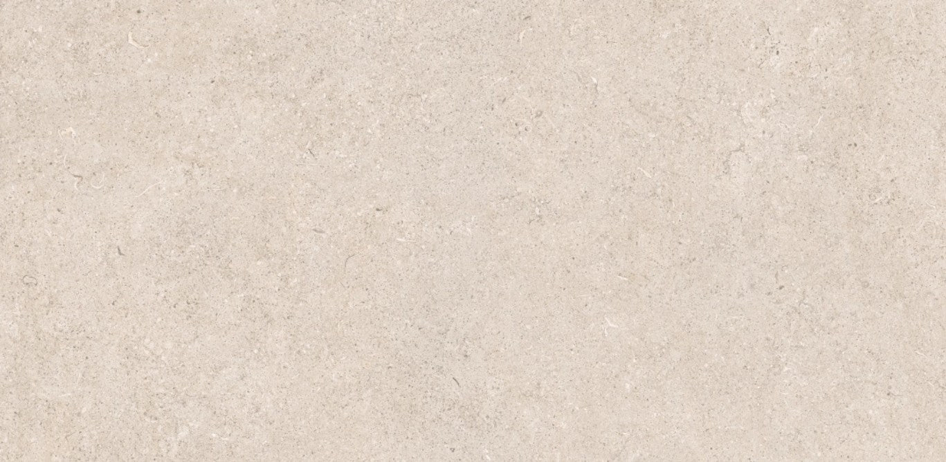 Light Grey Porcelain Paving600x1200x20mm (Essence Grey)