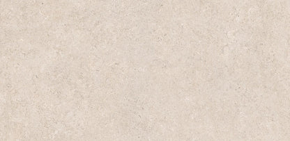 Light Grey Porcelain Paving600x1200x20mm (Essence Grey)