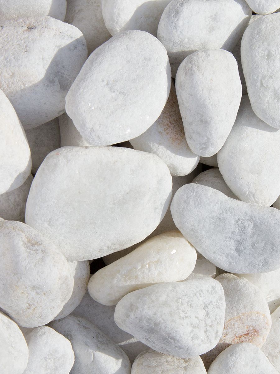 A close-up view of numerous smooth, white Brisks 20-40mm White Pebbles and stones, varying in size and shape, lying closely together. Perfect for landscaping projects, these small white stones have a uniform texture with subtle shades of grey and some slight imperfections.