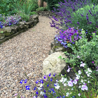 A 20mm Trent Valley Gravel path from Brisks leads through a garden bordered by lush greenery and vibrant flowers in purple, white, and blue. Decorative gravels edge the path, with a large rock prominently placed in the foreground. The backdrop includes dense foliage.
