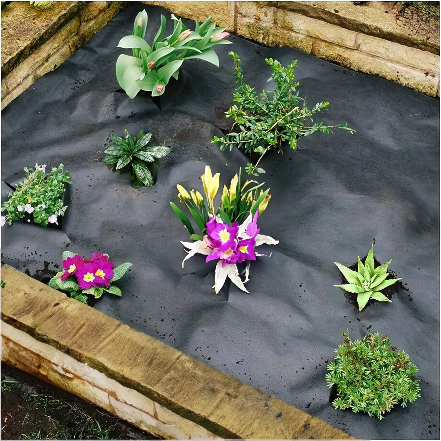 A garden bed with pink and yellow flowers is beautifully arranged on Growtivation's eco-friendly LANDTEX Landscaping Weed Membrane 1x15. Wooden planks border the bed, creating a charming centerpiece for landscape projects.