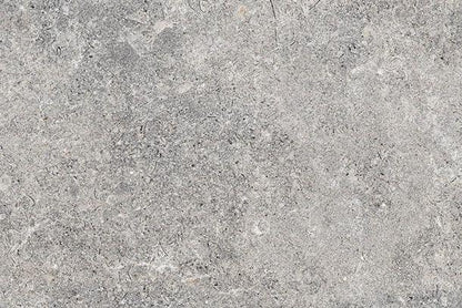 A close-up image of a slip-resistant, gray, speckled stone surface with a rough texture. The surface features tiny, irregularly shaped spots and subtle variations in silver hues, ranging from light to dark gray, giving it a natural, weathered appearance reminiscent of Brisks Carmen Grey Porcelain Paving Slabs.