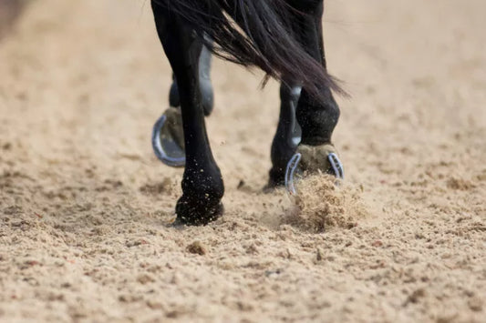A close-up shot of a horse's hooves kicking up Brisks Equestrian Sand as it trots on a sandy surface. The horse's black legs and the metal horseshoes are visible, with sand particles flying up from the ground, indicating movement on Brisks' superior quality horse arena flooring.