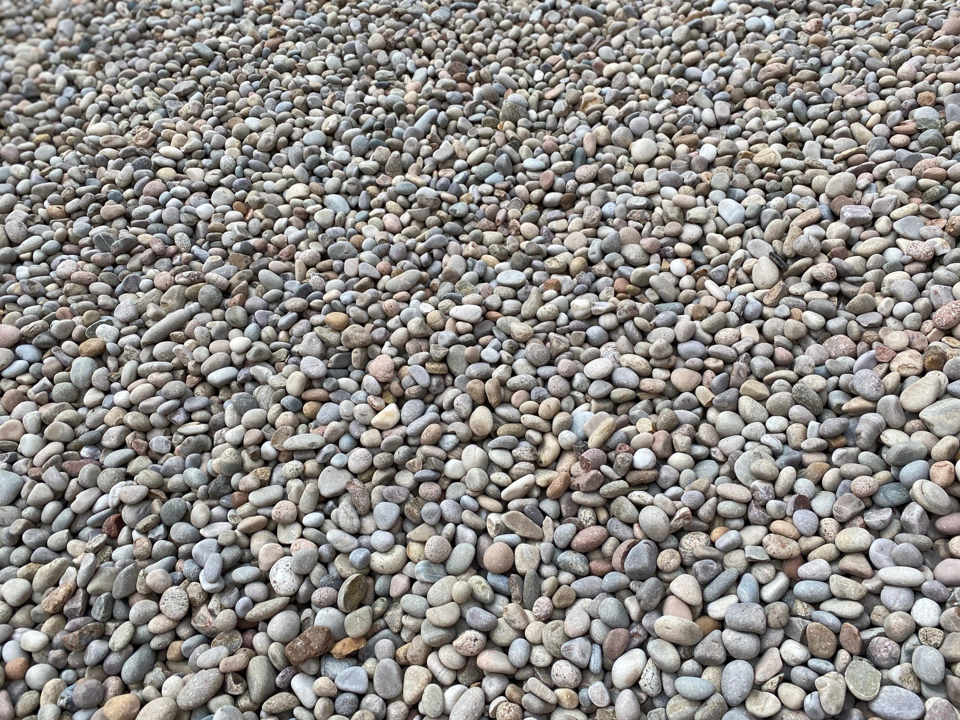 a bunch of rocks that are laying on the ground