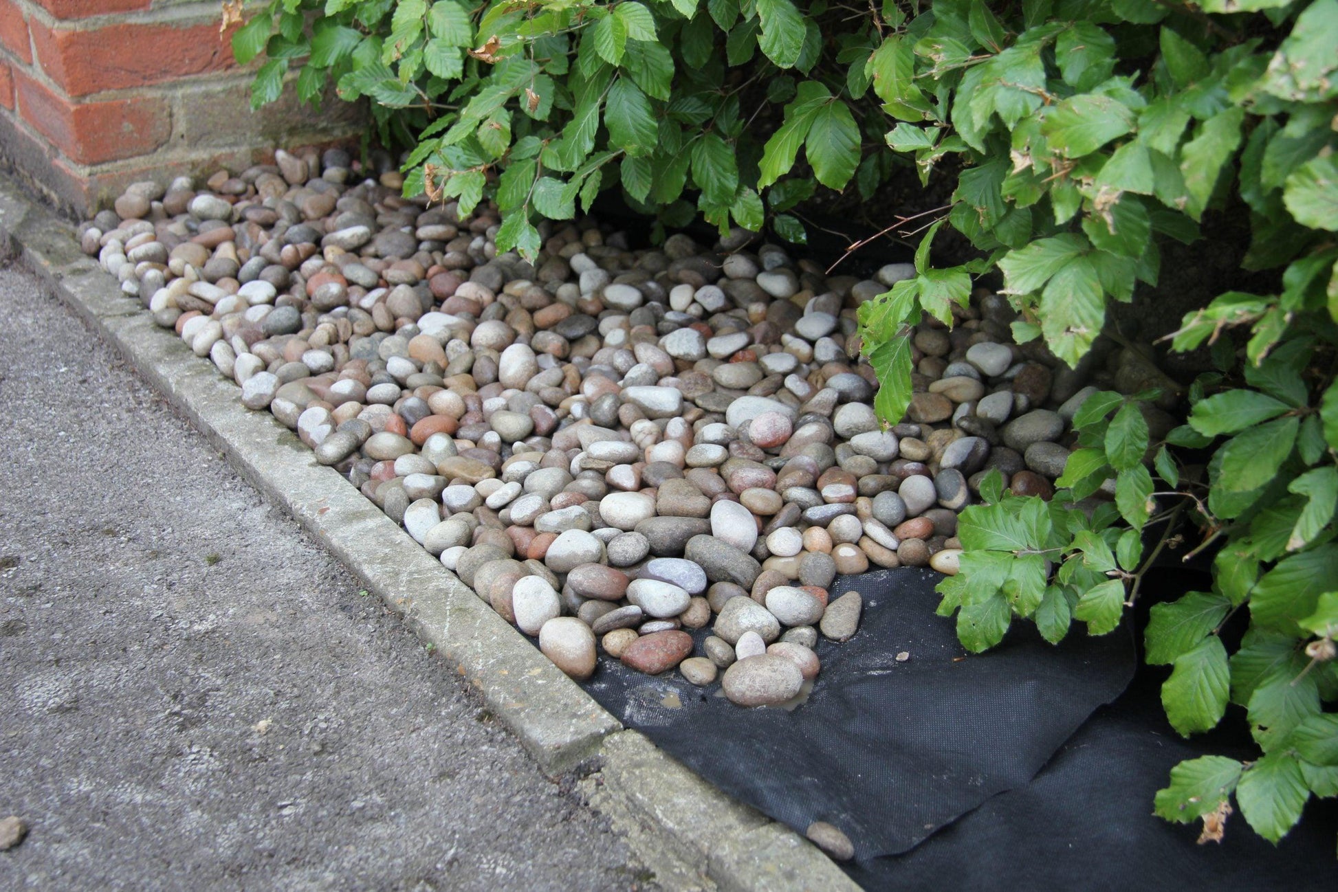 A small garden bed along a brick wall, filled with smooth pebbles and partially bordered by a concrete path. Green leafy plants overhang the pebbles, some placed on Brisks LANDTEX Weed Membrane Fabric for effective weed control, providing an eco-friendly weed barrier solution.