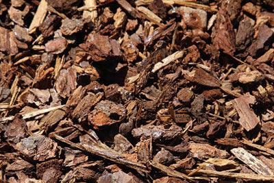 Close-up image of a pile of Brisks Bark Mulch. The texture and variety in size and shape of the wood pieces are visible, with some thinner sticks and larger chunks of bark, providing excellent plant protection.