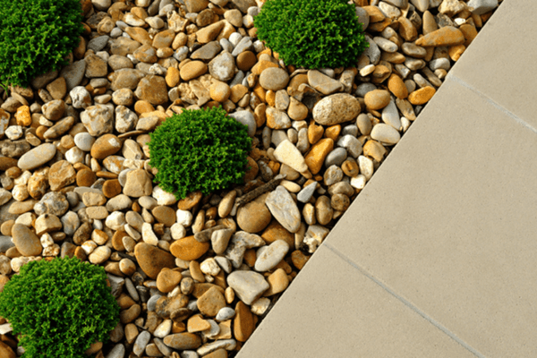 A minimalist garden featuring several neatly shaped green bushes placed among a bed of 10-20mm Brisks Shingle Gravel in various shades of brown and white. The scene, perfect for drainage and landscaping, is bordered by a clean, straight-edged concrete path.
