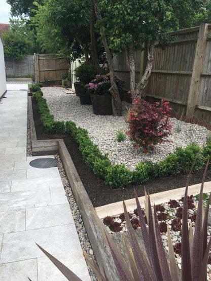 a garden with a gravel path and a tree