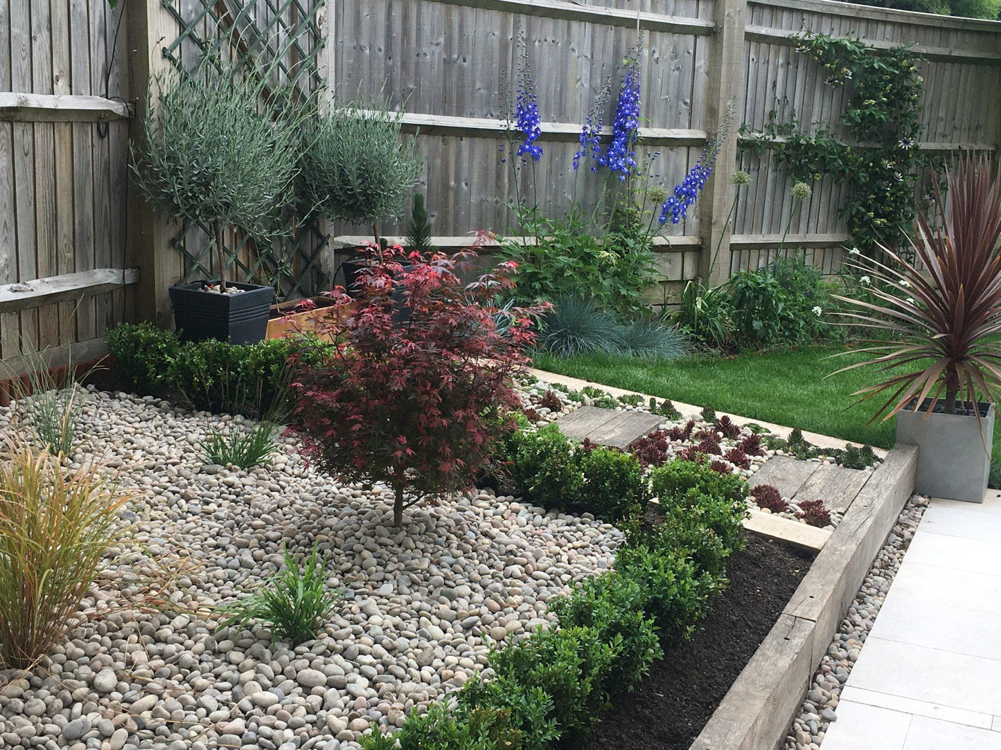 a garden with a wooden fence and a gravel path