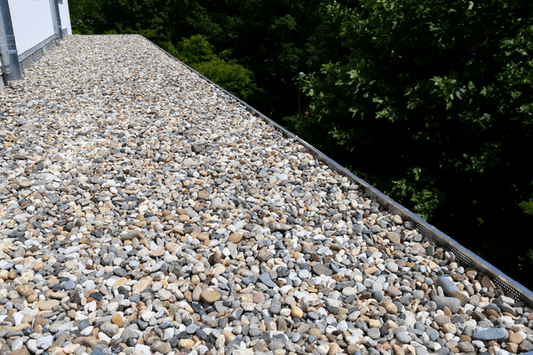 a view of a graveled walkway with trees in the background