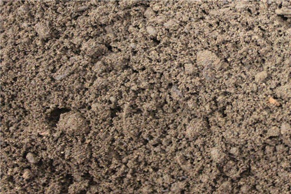Close-up of Brisks Multipurpose Garden Topsoil with a granular texture. The premium quality soil appears rich and slightly moist, suitable for gardening or agriculture.